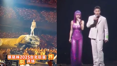 蔡依林演唱会争议