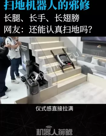 中国扫地机器人